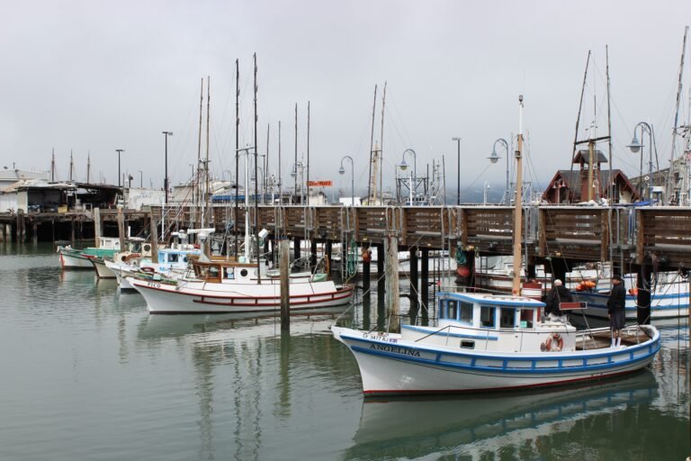 Fishing boats docked at San Francisco pier under cloudy sky.